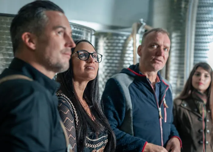 Weinfass-chalet Fuer 8 In By Interhome *